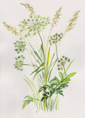 High grass and plants