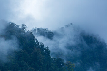 Alajuela Region, Costa Rica, Central America, America