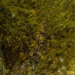 The texture of tina underwater. The glossy surface is green.