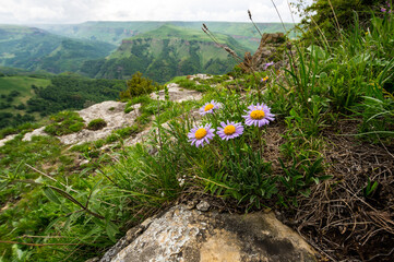 Panoramic view of Caucasus mountains