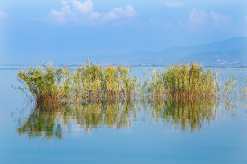 Beautiful view by lake