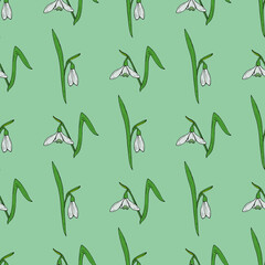 Seamless pattern with stylish snowdrops on light green background. Vector image.