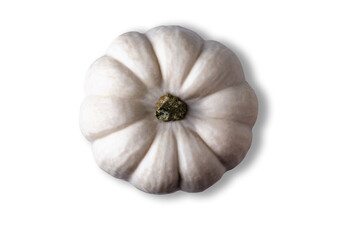 White pumpkin from above isolated on white