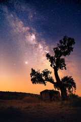 night scene of the milky way and house next to a big tree