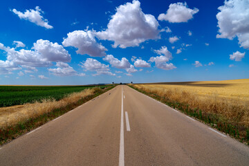 straight road with blue sky and cotton clouds