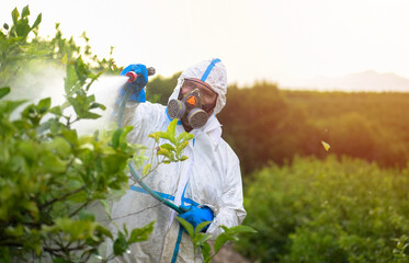 Farmer in protective clothes spray pesticides. Farm worker spray pesticide insecticide on fruit...