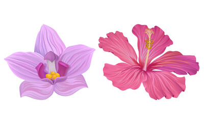 Obraz na płótnie Canvas Tropical Flora with Hibiscus and Orchid Flower Vector Set
