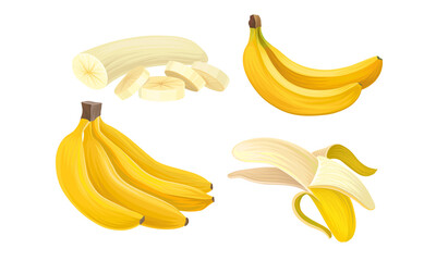 Bunch of Yellow Banana as Exotic Fruit Vector Set