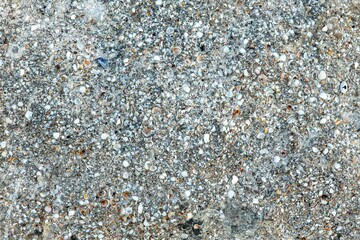 background and texture of the surface of the ground. Forest trodden path.