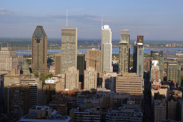 The aerial view of the skyscrapers in the city from the top of Mount Royal