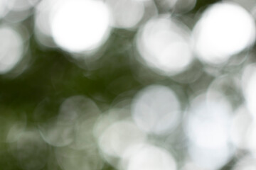 white bokeh