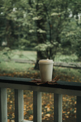 a mug of coffee stands on an autumn maple leaf in the park