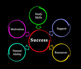 Five drivers of success