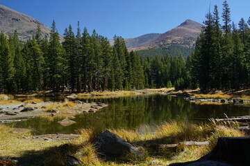 Lake in the Yosemite National Park