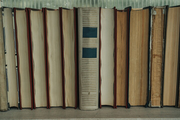 old books and autumn leaf