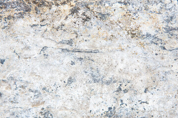 background and texture of the surface of the ground. Forest trodden path.