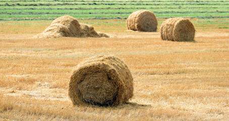 Straw bales on farmland with blue cloudy sky