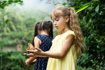 Two little sisters holding a butterfly in their hands. Children exploring nature. Family leisure...