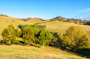 Naklejka premium Rural area at the foothills of the Victorian Alps - Mansfield, Victoria, Australia