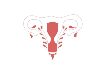 Vector illustration of woman uterus.