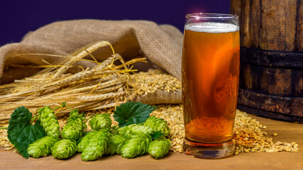 Beer. Still life with Vintage beer barrel and glass light beer. Fresh amber beer concept. Green hop and gold barley on wooden table. Ingredients for brewery. Brewing traditions