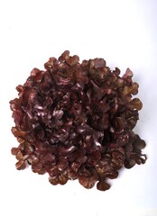 Red oak leaf salad on white background