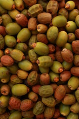 datil