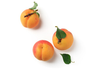 Ripe apricots with green leaves on a white background