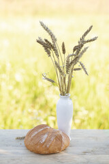 white vase with spikelets of ripe wheat and round bread on a light wooden table against the background of nature