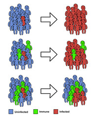Diagram showing herd immunity in action in group of people. 2d hand drawn illustration.