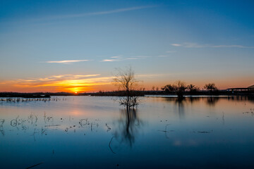 Fototapeta na wymiar Paisaje al amanecer en las lagunas de Elche con un arbol seco reflejandose en el agua