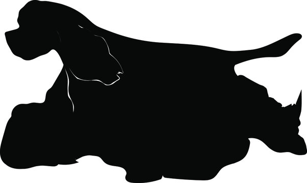 American cocker spaniel dog in trot movement vector illustration silhouette 