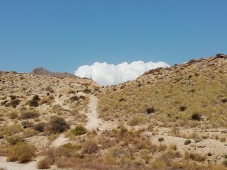 Cumulolimbos Punta Negra Mazarrón 