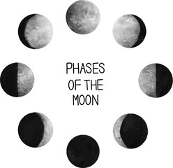 Phases of the Moon Vector