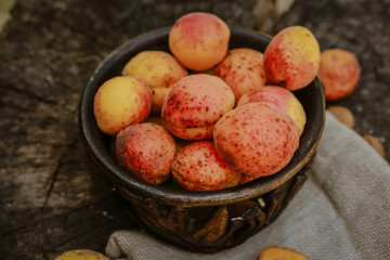 homemade apricots in pottery on hemp
