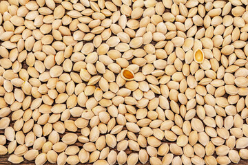 Cherry plum seeds background