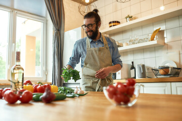 Cheerful young man, Italian cook in apron holding basil leaves while getting ready to prepare...