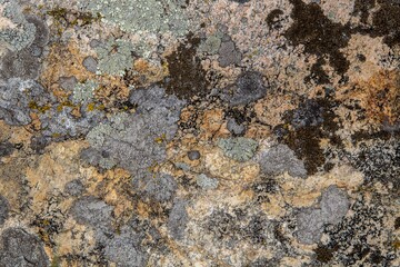 background and texture of stone surface with moss and lichens