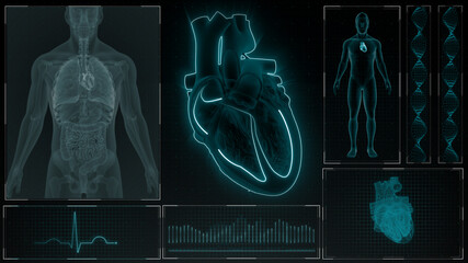 SA and AV Node signals of human half heart 3d illustration - obrazy, fototapety, plakaty