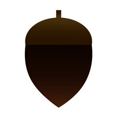 どんぐり_Acorn