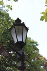 Lamppost in a city park on a summer day