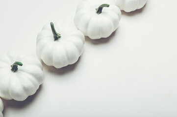 White Pumpkins. Autumn concept