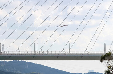 The Yavuz Sultan Selim Bridge is a bridge for rail and motor vehicle transit over the Bosphorus. Bridge and house view. 