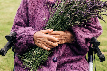An elderly retired woman holding a large bunch of lavender with both hands