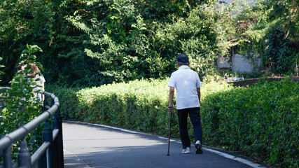 散歩道