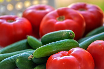 Tomato and cucumber come to our house from the field