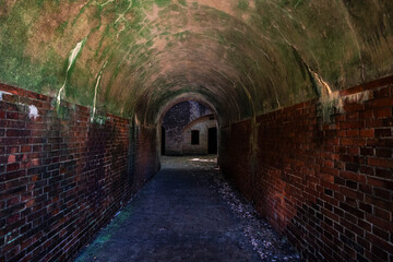 コケが付いた古いトンネル
