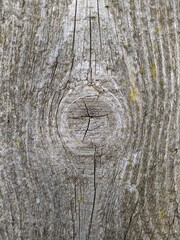 texture and background of old and gray wooden board