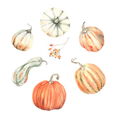 Watercolor set with pumpkins. Symbols autumn, harvest, halloween and holiday Thanksgiving day. Isolated illustration vegetables on white background for your design. 