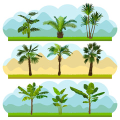 Set of different palms. Collection of various types and forms of tropical plants. Ecology vector background concept. Vector illustration.